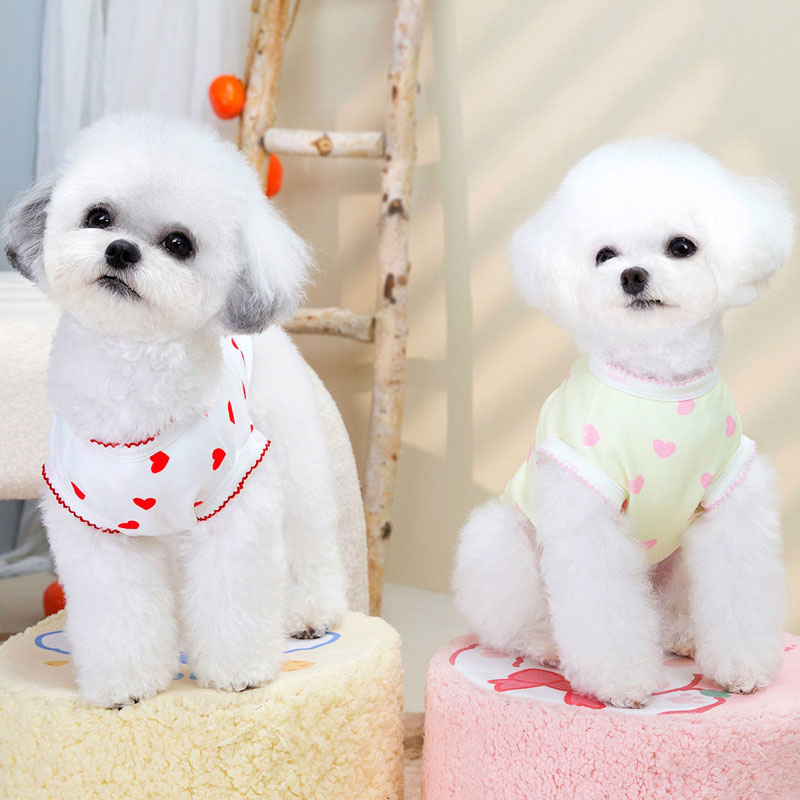 Yellow Red Dog Clothes Short S - Yellow Summer Clothing recension och pris