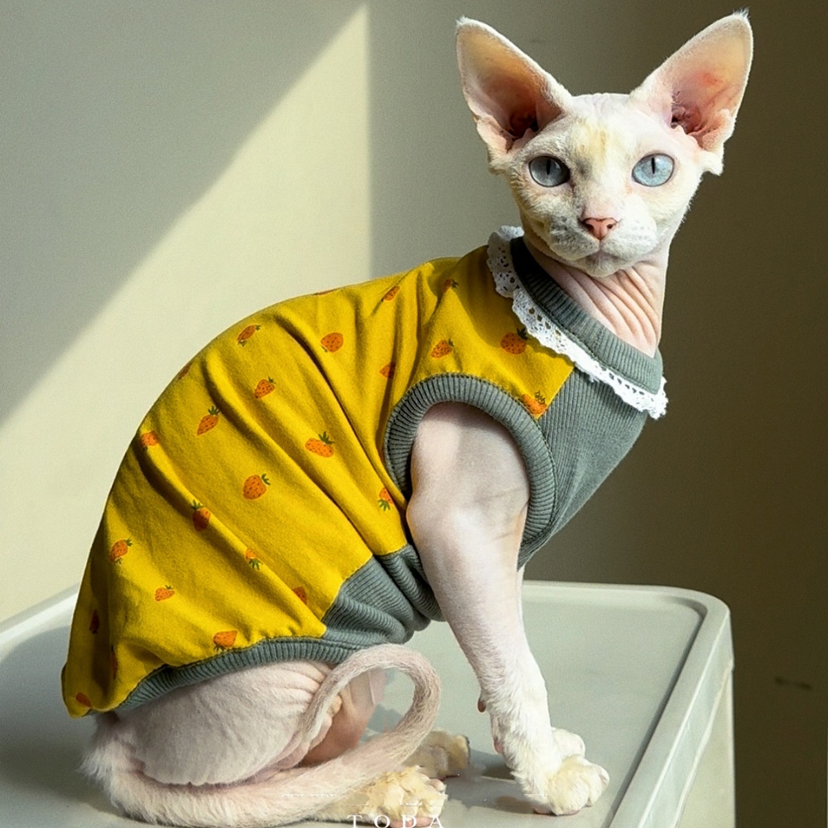 Clothing for Cat Spring Sweet  - Yellow Summer Clothing recension och pris