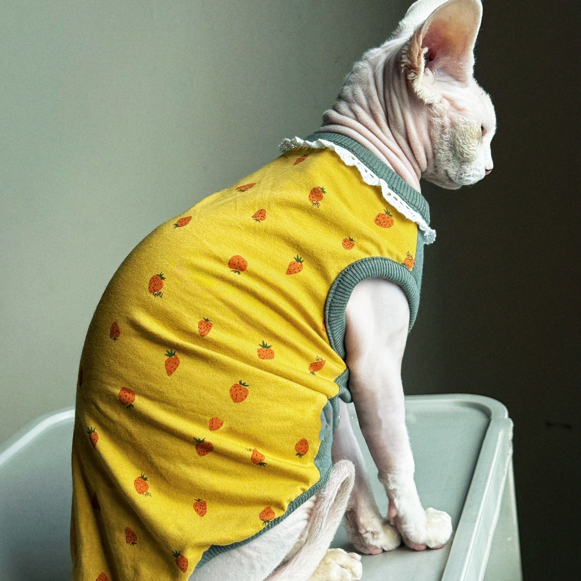 Clothing for Cat Spring Sweet  - Yellow Summer Clothing recension och pris