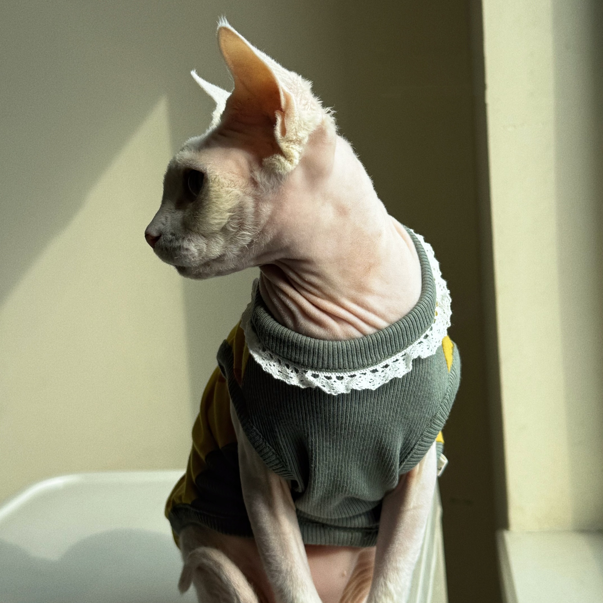 Clothing for Cat Spring Sweet  - Yellow Summer Clothing recension och pris