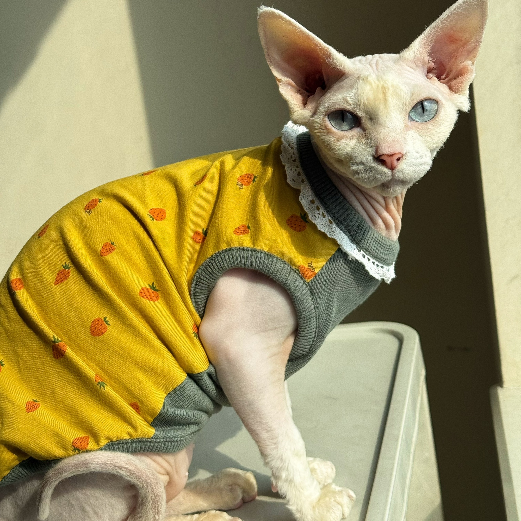 Clothing for Cat Spring Sweet  - Yellow Summer Clothing recension och pris